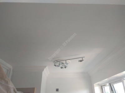 ZD Painters Coving Installation - WD3
